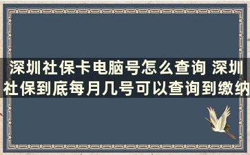 深圳社保卡电脑号怎么查询 深圳社保到底每月几号可以查询到缴纳情况